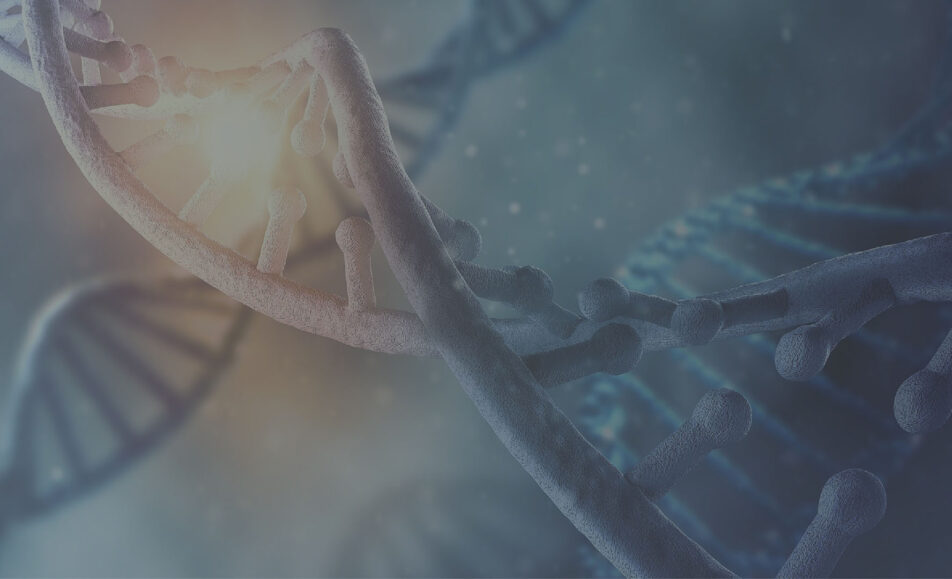 2nd Annual Genotoxic Impurities Nitrosamines & Beyond