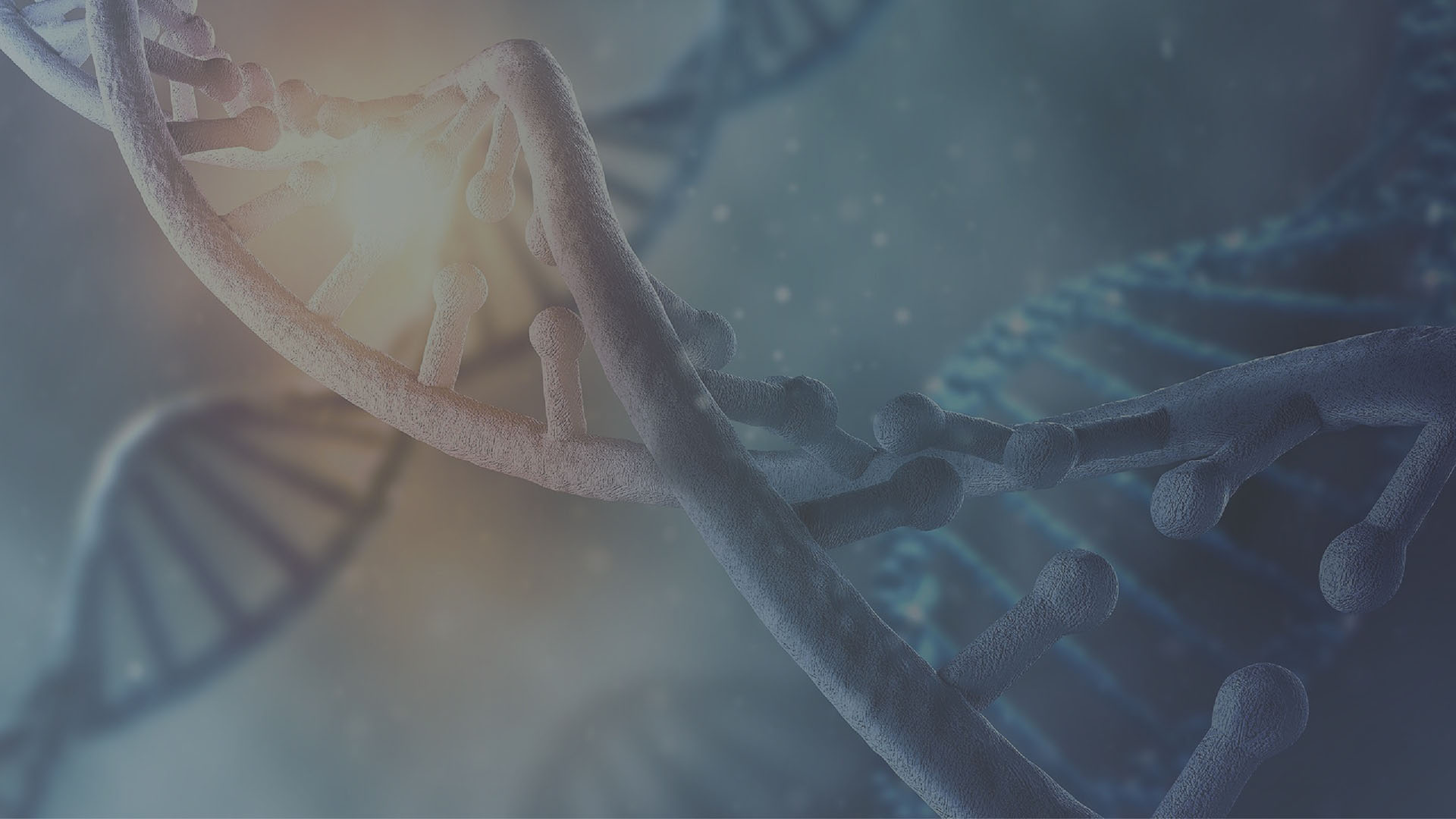 2nd Annual Genotoxic Impurities Nitrosamines & Beyond