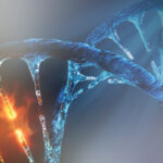 Genotoxic Impurities Nitrosamines & Beyond